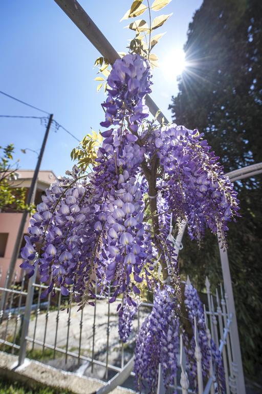 Skevoulis Studios Benitses  Dış mekan fotoğraf